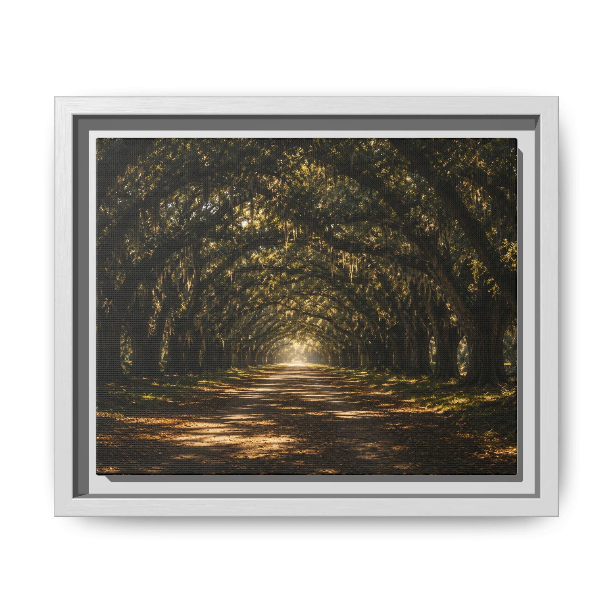 Sunlit Oak Tunnel Matte Canvas Framed Wall Art