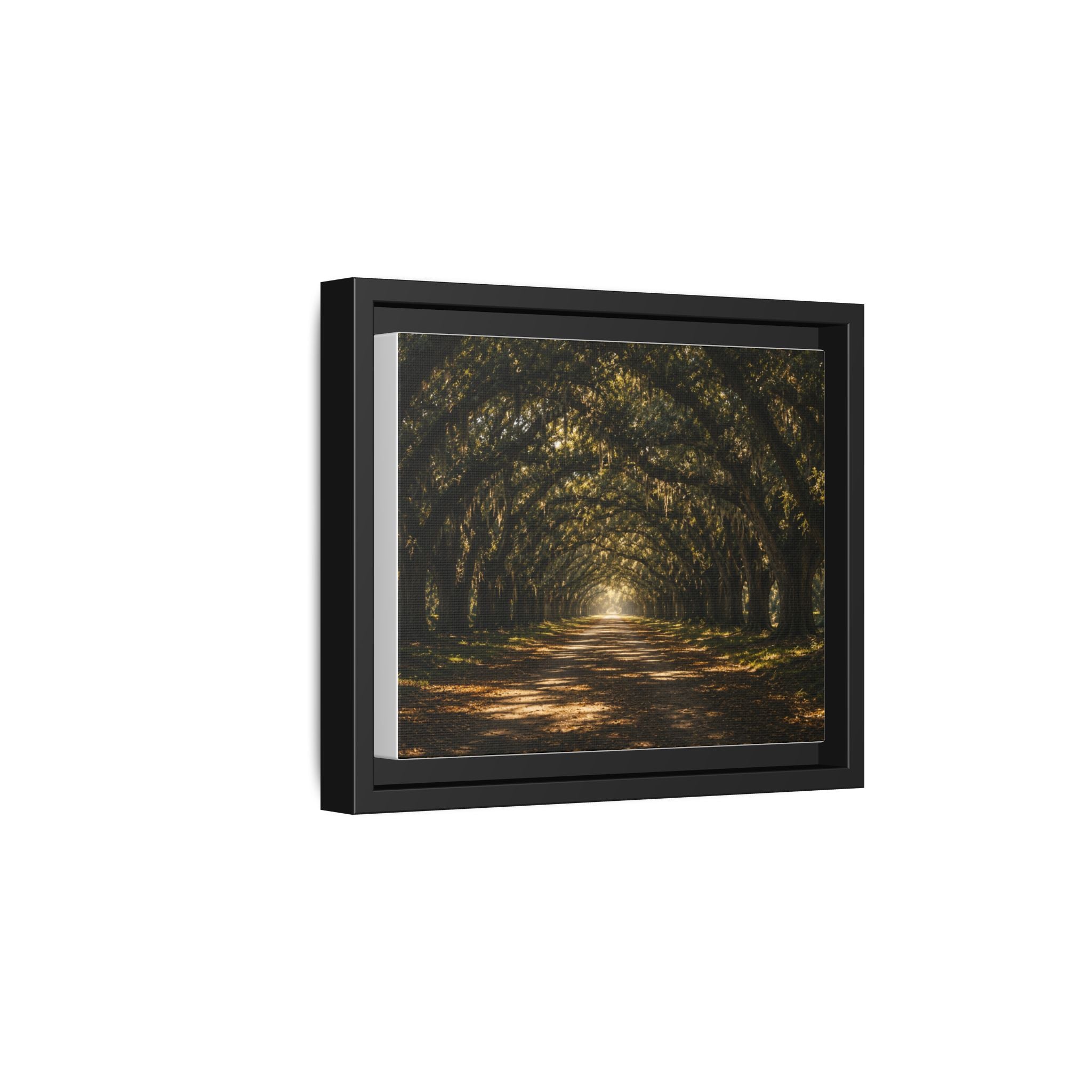 Sunlit Oak Tunnel Matte Canvas Framed Wall Art