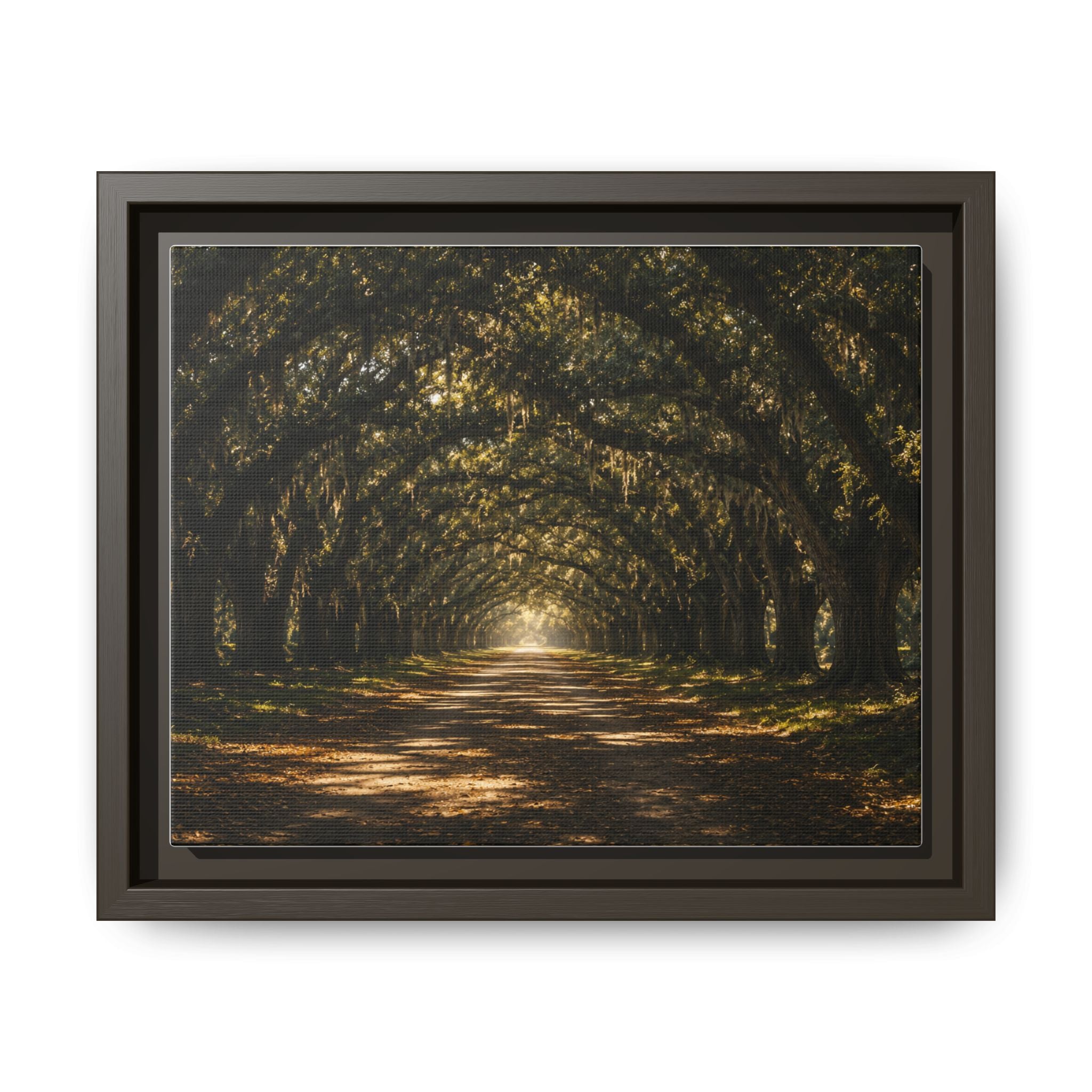 Sunlit Oak Tunnel Matte Canvas Framed Wall Art