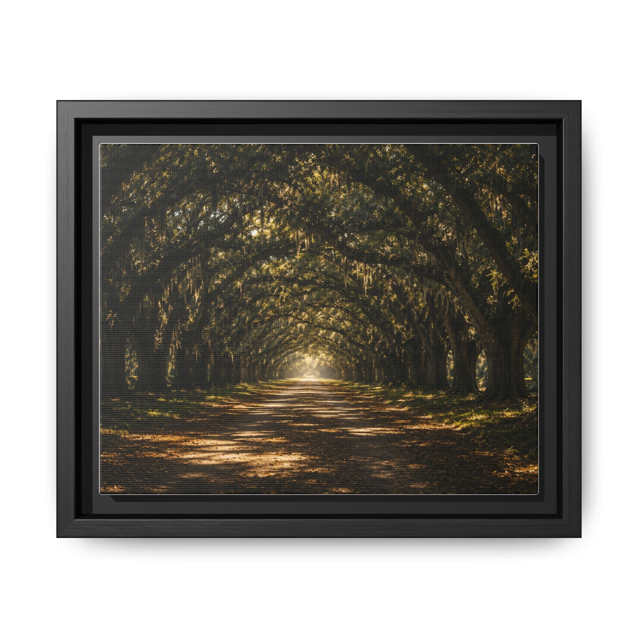 Sunlit Oak Tunnel Matte Canvas Framed Wall Art