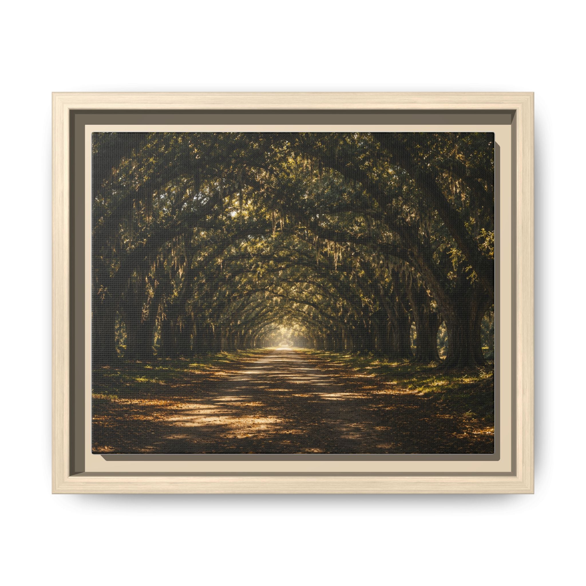 Sunlit Oak Tunnel Matte Canvas Framed Wall Art